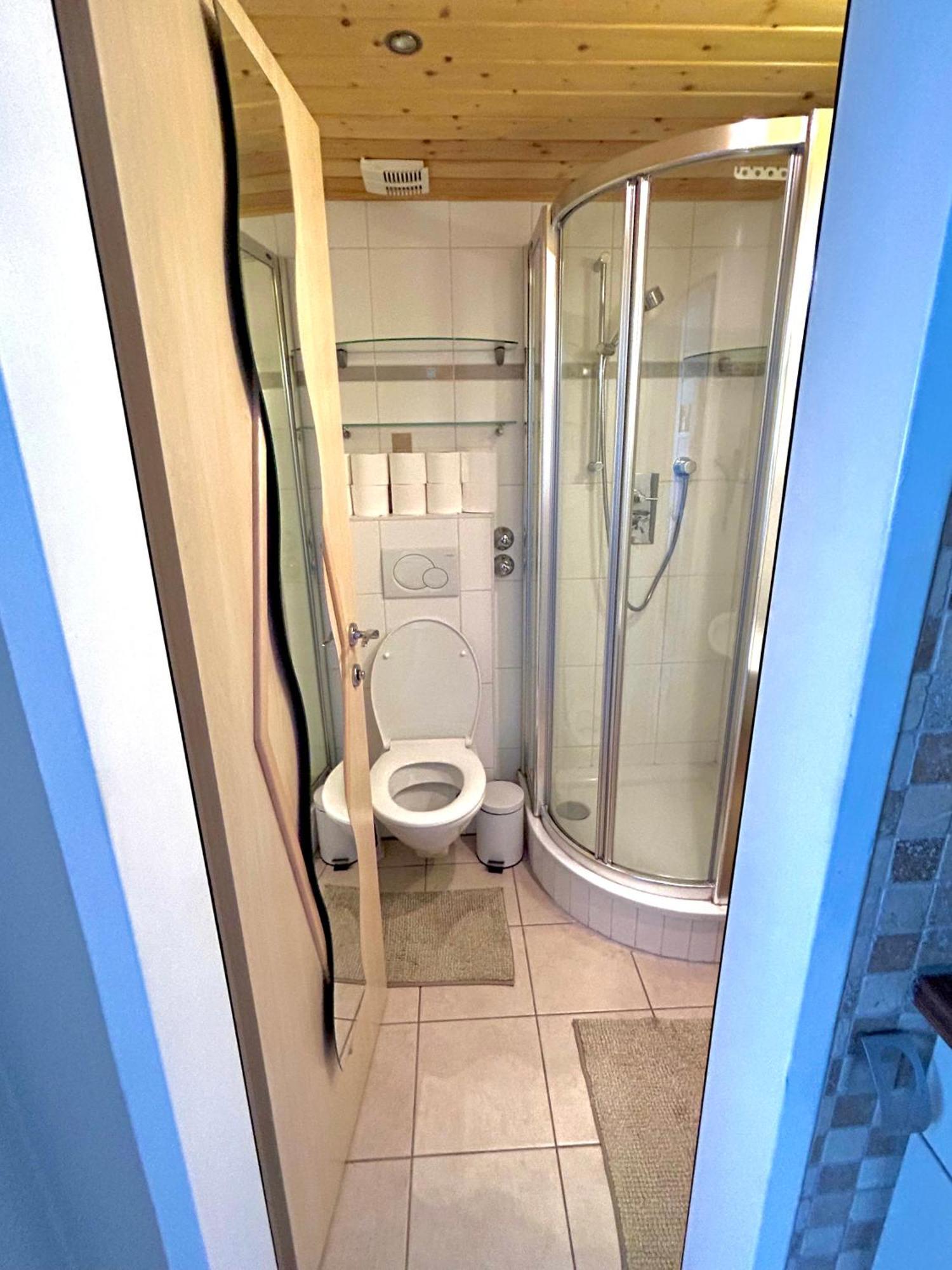 Alpine Mit Sauna Und Pool Apartment Schladming